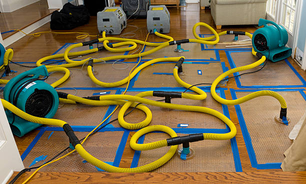 Professional Burst Pipe Water Damage technician working in Brant, MI